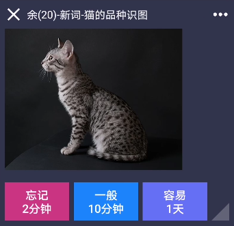 记忆碎片app