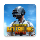 pubgm全球服下载-pubgm全球服中文版v2.8.9